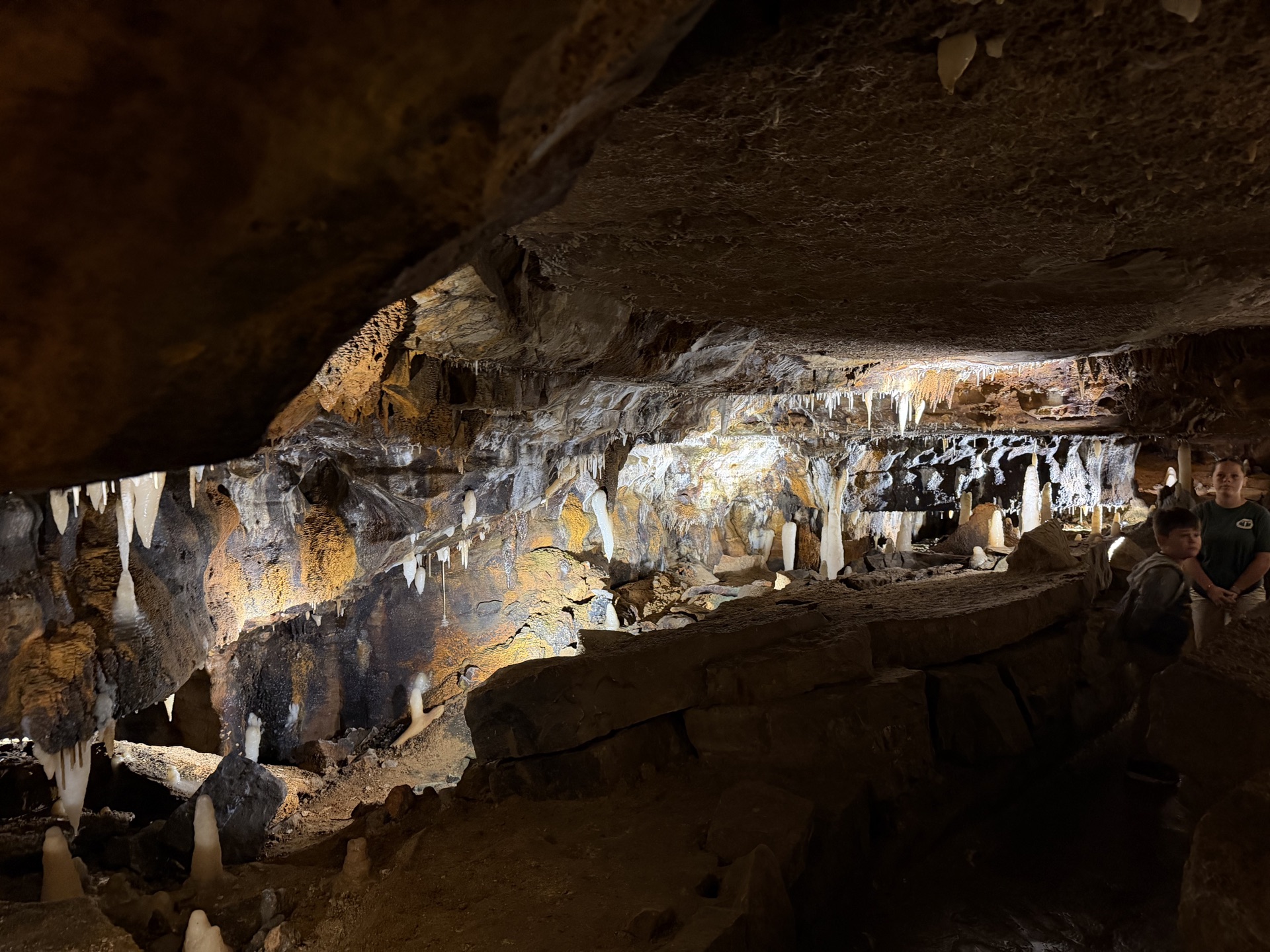 Stalactites and cave formations on the tour